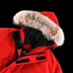 Jacket - Image 4