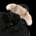 Jacket - Image 3