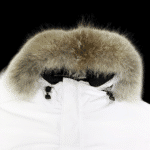 Jacket - Image 3