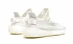 350 v2 Bone - Image 3