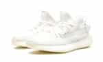 350 v2 Bone - Image 2
