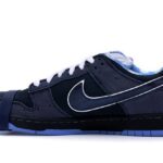 Concepts Blue Lobster
