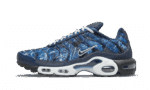 Midnight Navy